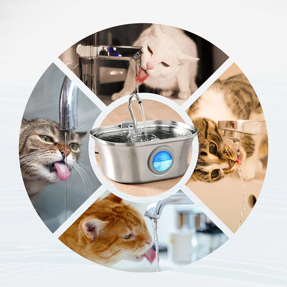Collage of cats drinking water from a stainless steel pet fountain.