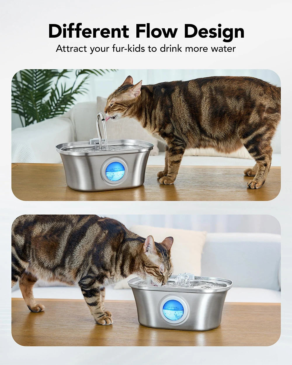 Cat drinking from a pet water fountain with text 'Different Flow Design' and 'Attract your fur-kids to drink more water'.