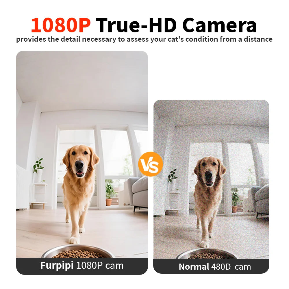 Comparison of Furpipi 1080P camera vs normal 480D camera showing a dog in a room.