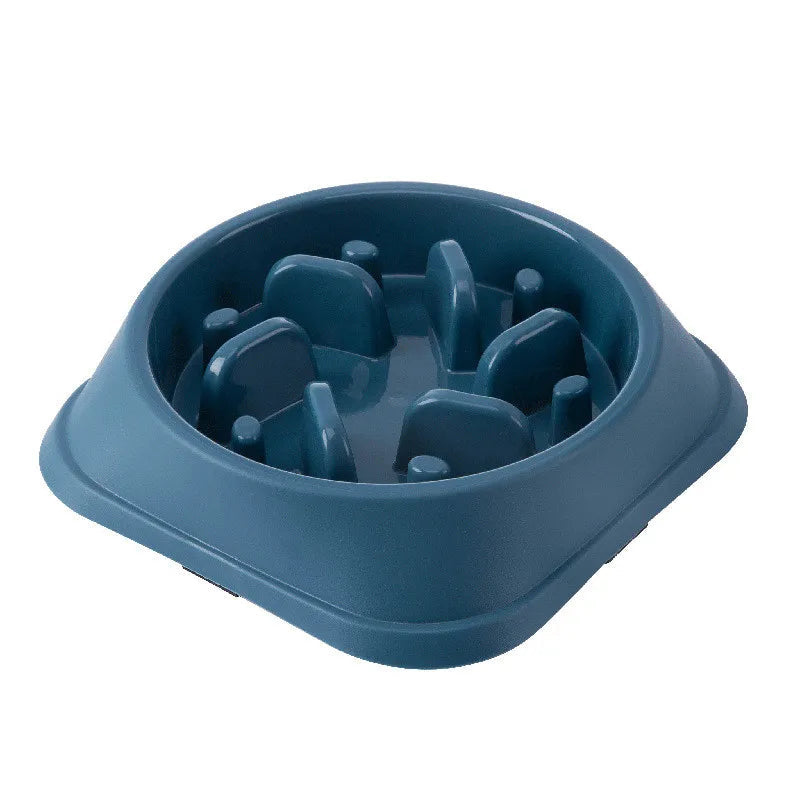 Blue slow feeder bowl for pets on a white background