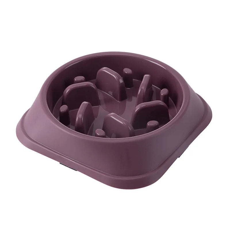 Cat & Dog Slow Feeder Bowl – Anti-Choking Non-Slip Design