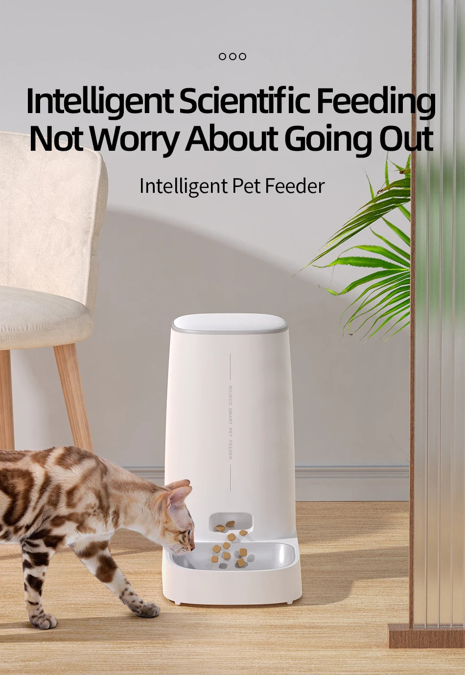 Intelligent pet feeder with a cat interacting with it on a wooden floor.