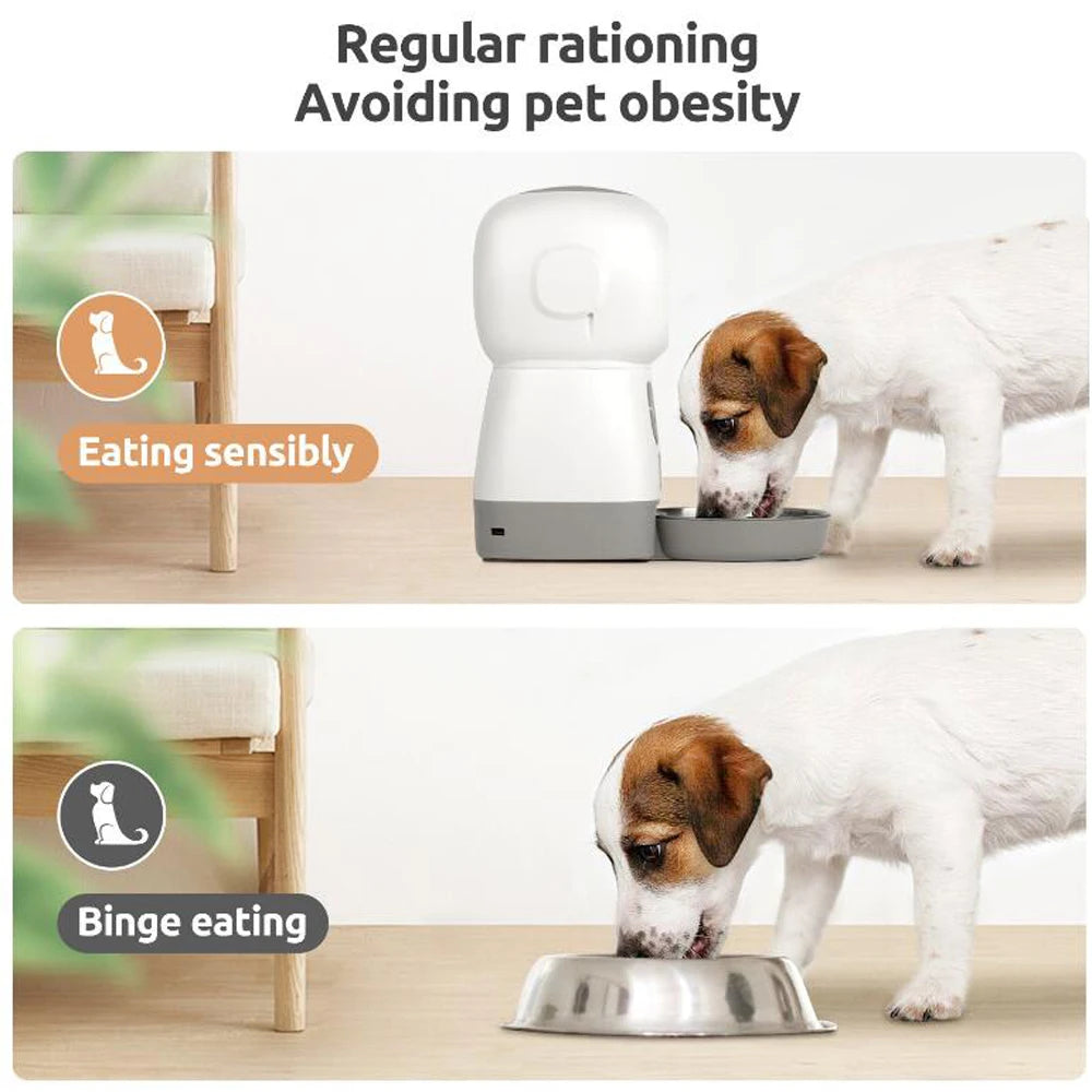 Dog eating from a bowl with text on rationing and obesity prevention.