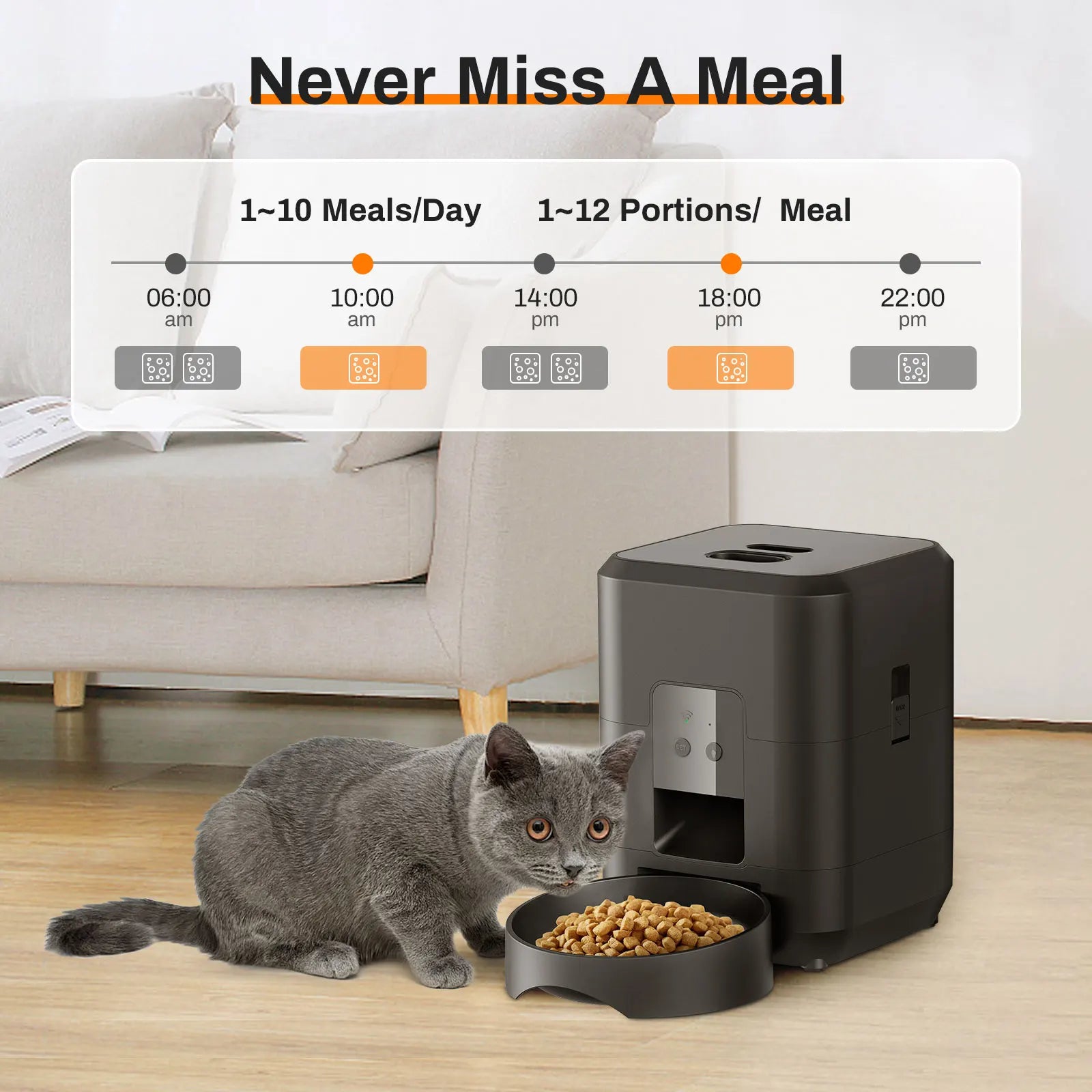 Cat next to an automatic pet feeder with a digital display showing feeding schedule.
