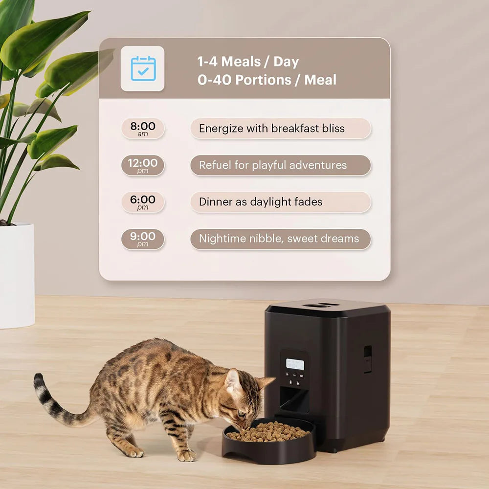 Cat eating from a black pet feeder with a schedule on a wall in the background.