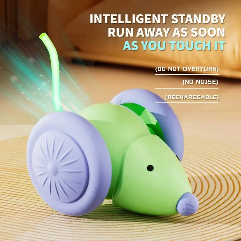 Smart Interactive Cat Toy Ball – USB Rechargeable Teaser