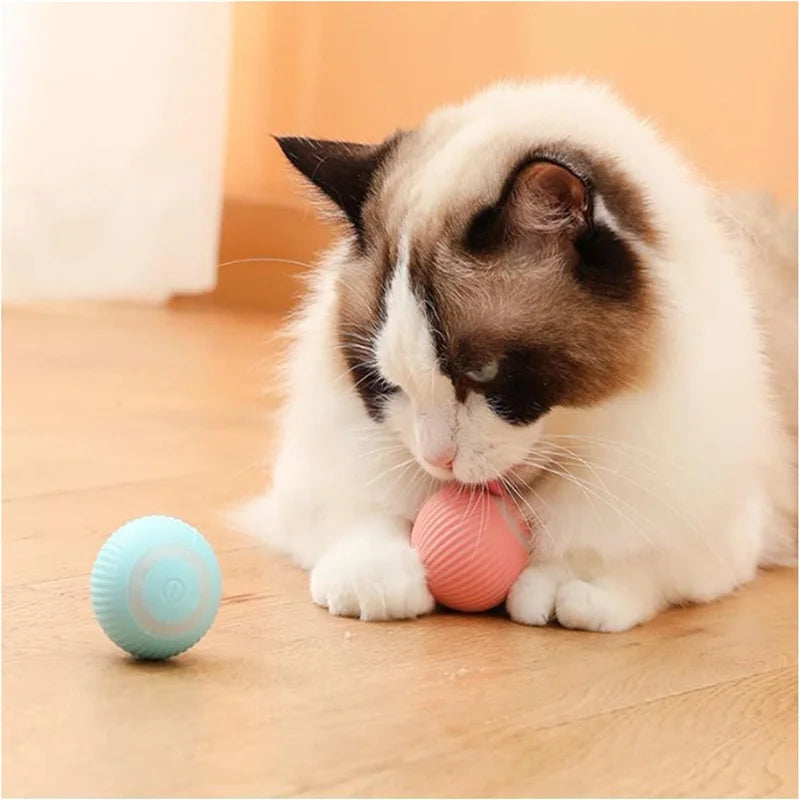 Smart Interactive Cat Toy Ball – USB Rechargeable Teaser